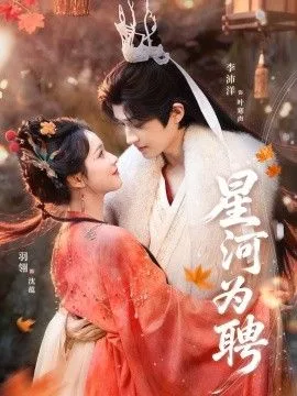 星河为聘海报