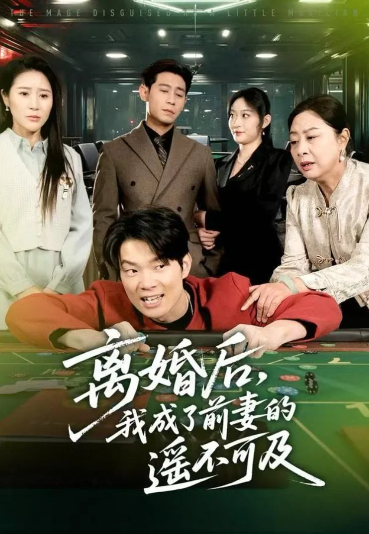 离婚后，我成了前妻的遥不可及海报