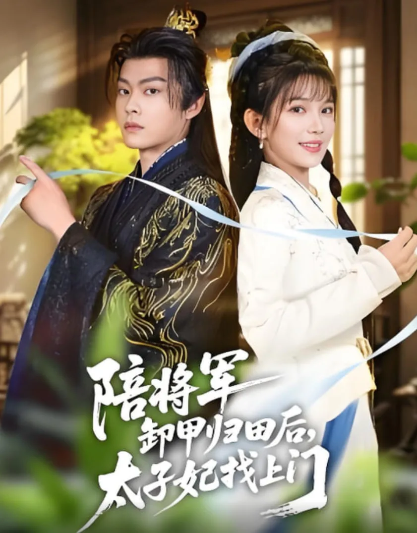 陪将军卸甲归田后，太子妃找上门海报