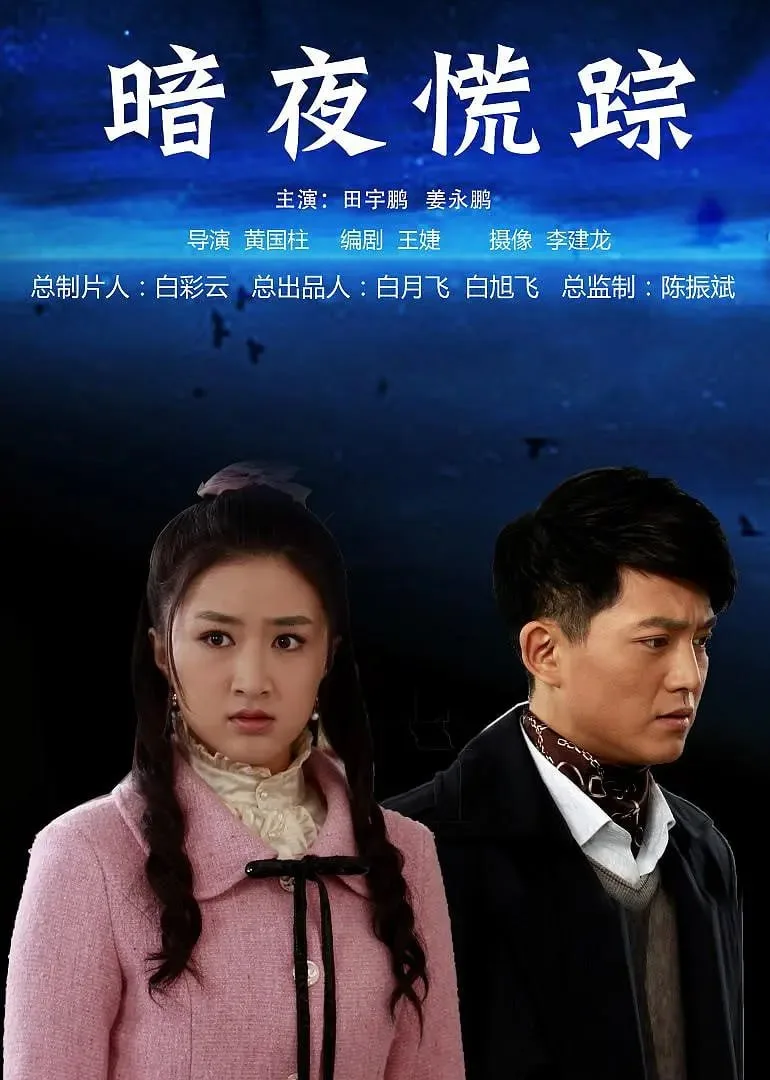 暗夜慌踪 2013海报