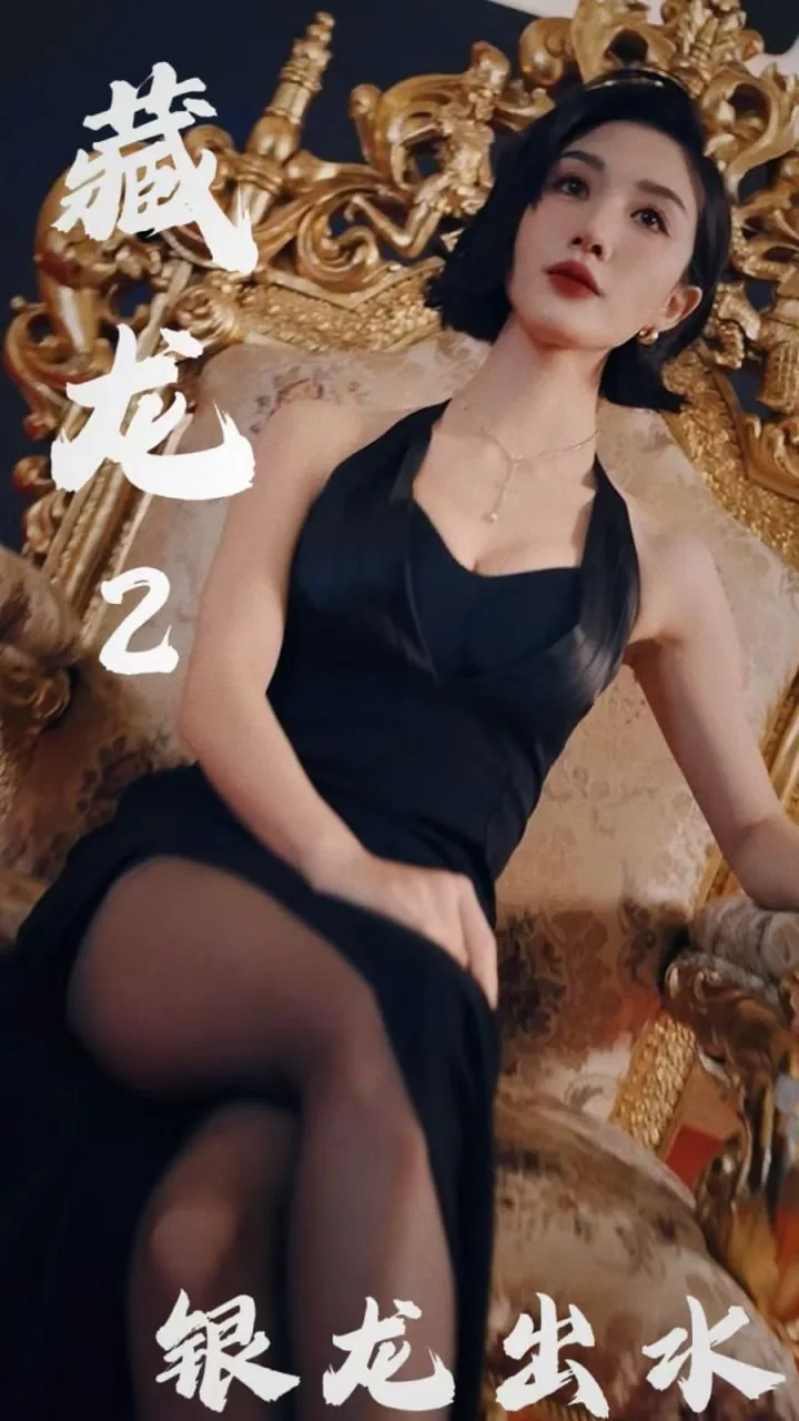 藏龙2银龙出水海报