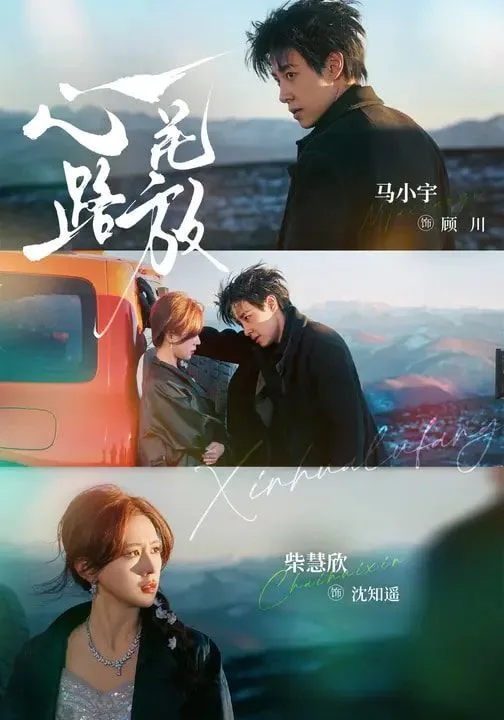 心花路放（2026）海报