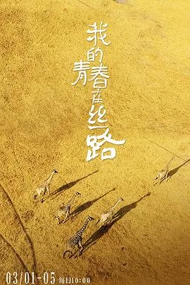 我的青春在丝路海报