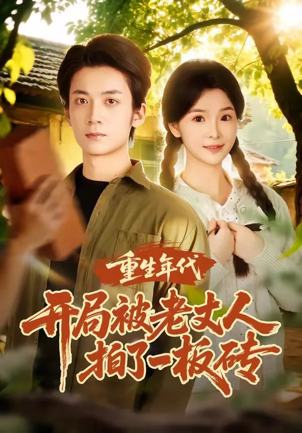 重生年代开局被老丈人拍了一板砖海报