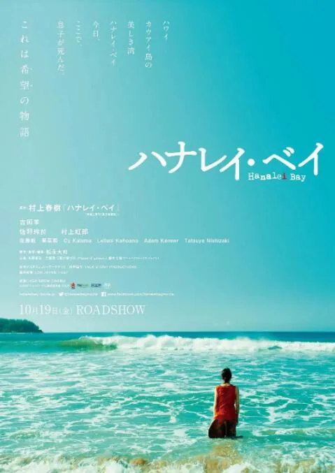 哈纳莱伊湾海报
