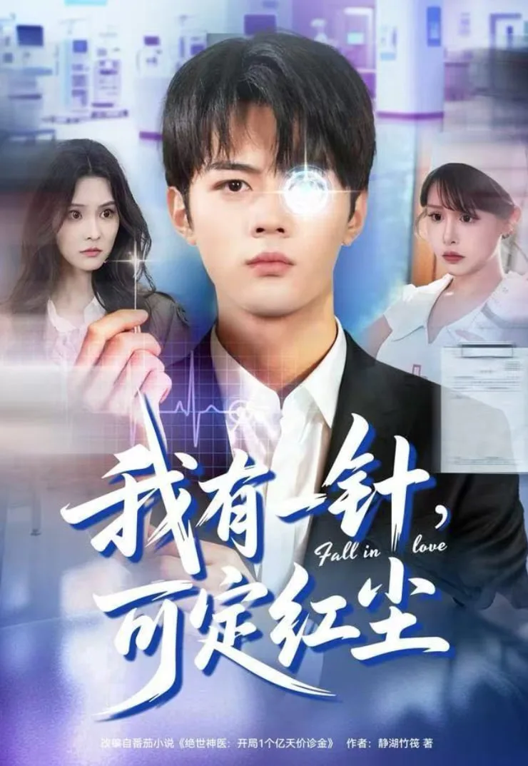 我有一针，可定红尘海报