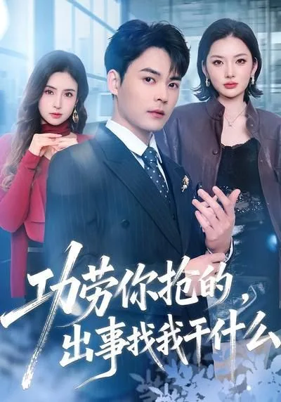 功劳你抢的，出事找我干什么海报