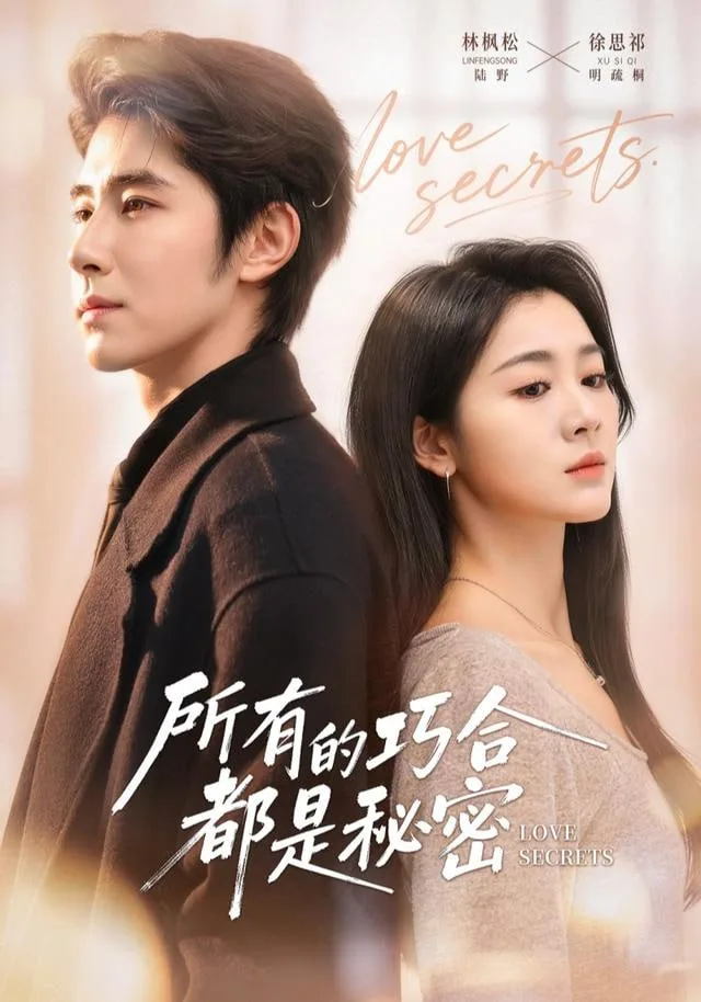 所有的巧合都是秘密（陆总夫人她只想离婚）海报