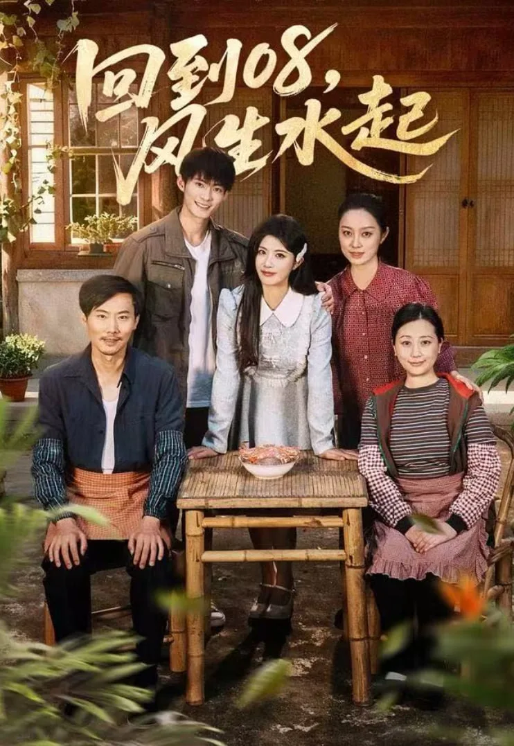 回到08风生水起海报