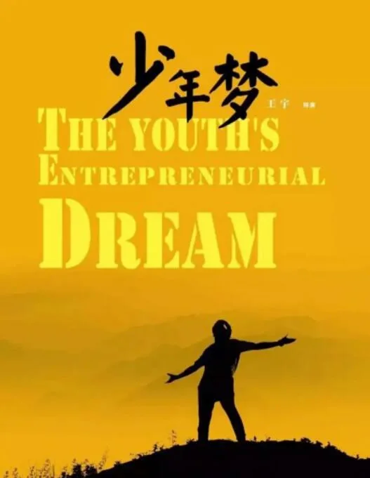 少年梦海报