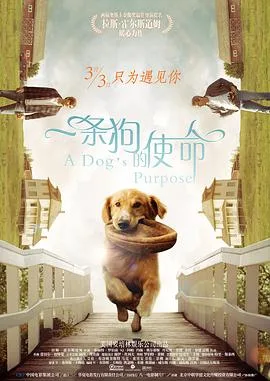 一条狗的使命 原声版海报