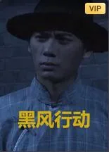 黑风计划海报