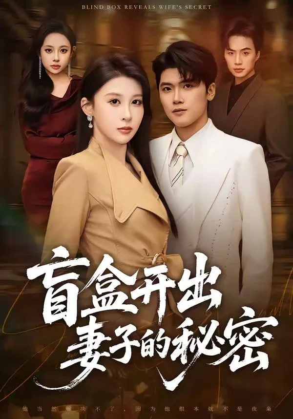 盲盒开出妻子的秘密海报