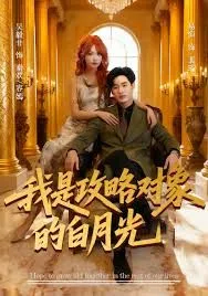 我是攻略对象的白月光海报