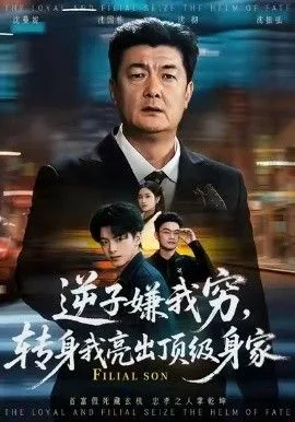 逆子嫌我穷，转身我亮出顶级身家海报