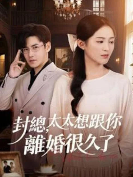封总，太太跟你离婚很久了海报