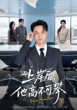 上岸后，他高不可攀海报