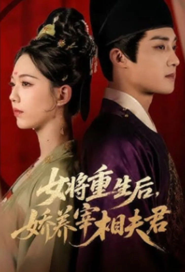 女将军和她的夫君海报