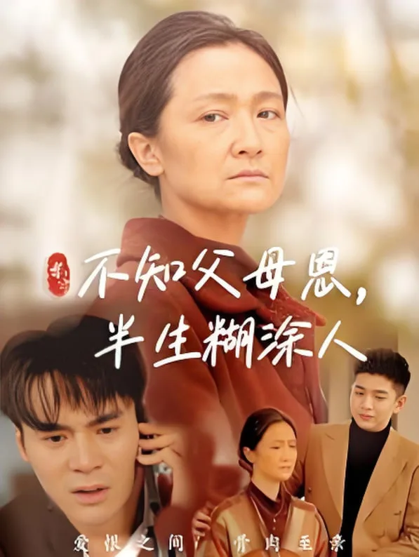 不知父母恩，半生糊涂人海报