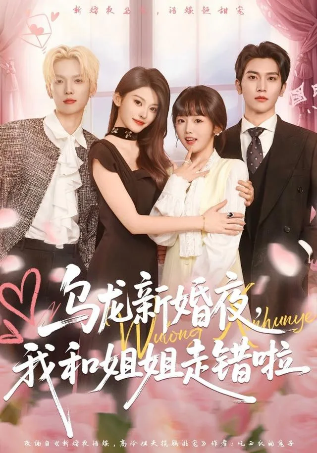 乌龙新婚夜，我和姐姐走错啦海报
