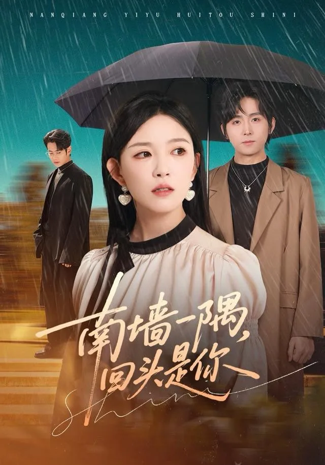南墙一隅，回头是你海报
