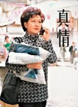真情海报