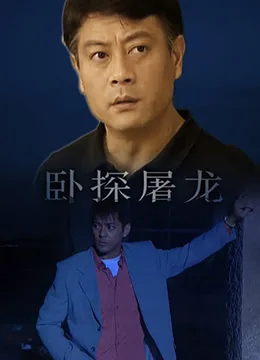 卧探屠龙海报