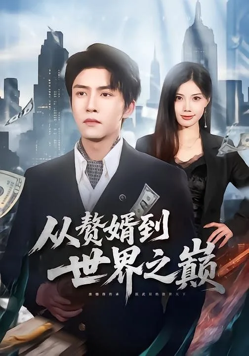 赘婿到世界之巅海报