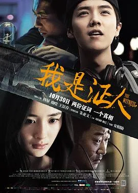 我是证人海报