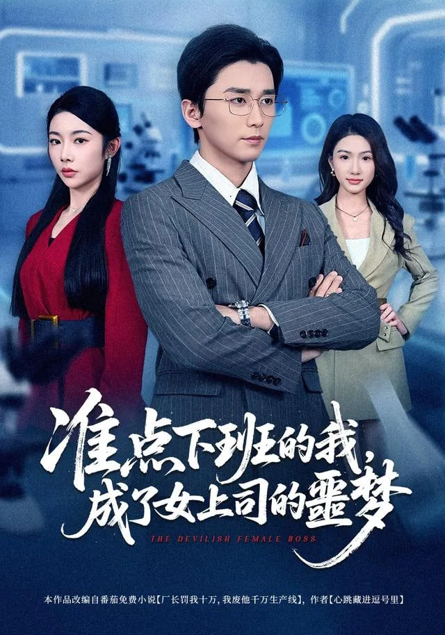 准点下班的我，成了女上司的噩梦海报