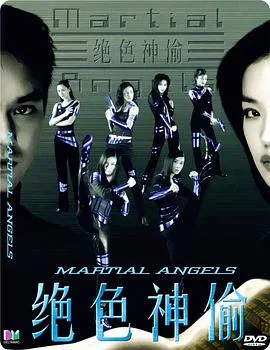 绝色神偷海报