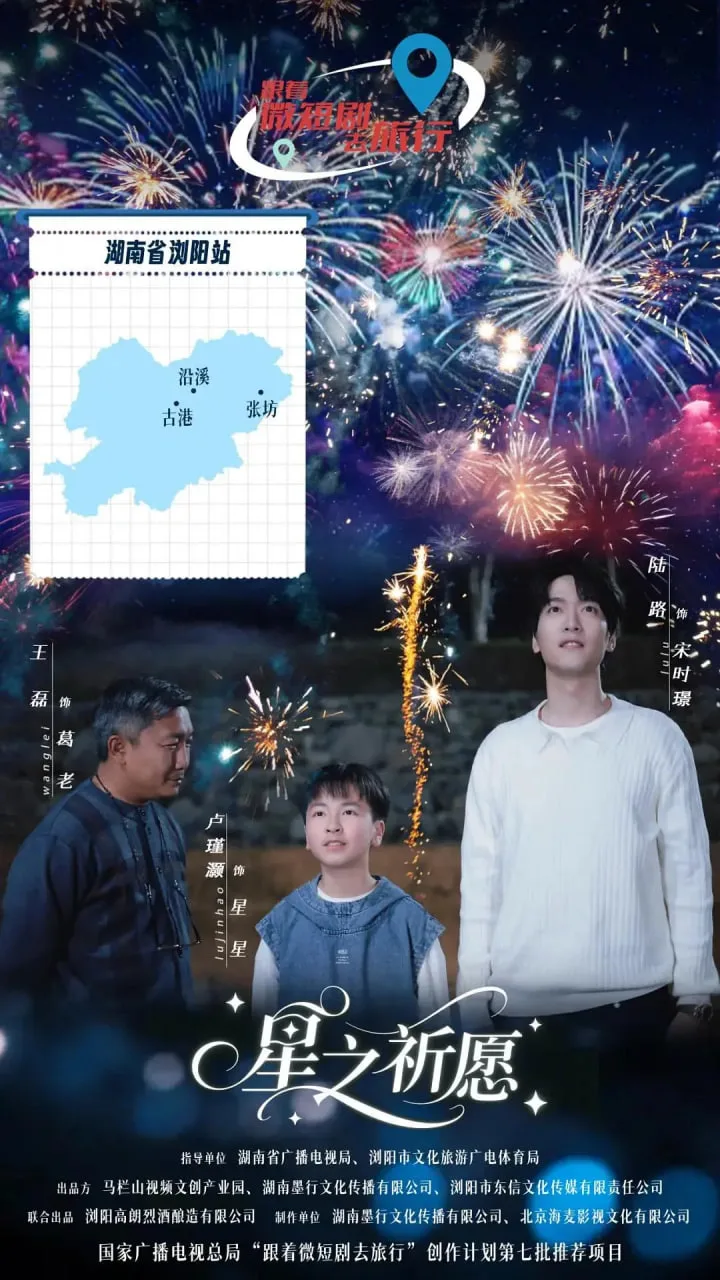 星之祈愿海报