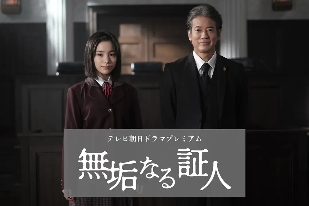 无垢的证人海报