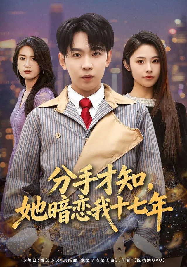 分手才知，她暗恋我十七年海报