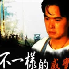 不一样的感觉 1999海报