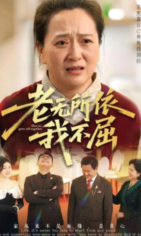 老无所依我不屈海报