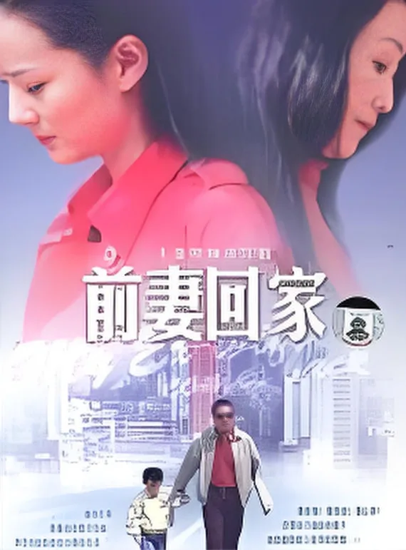 前妻回家海报