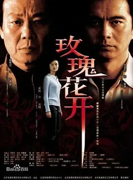 玫瑰花开海报
