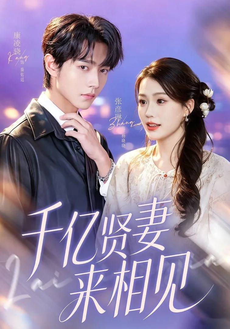 钻石贤妻来相见（千亿贤妻来相见）海报