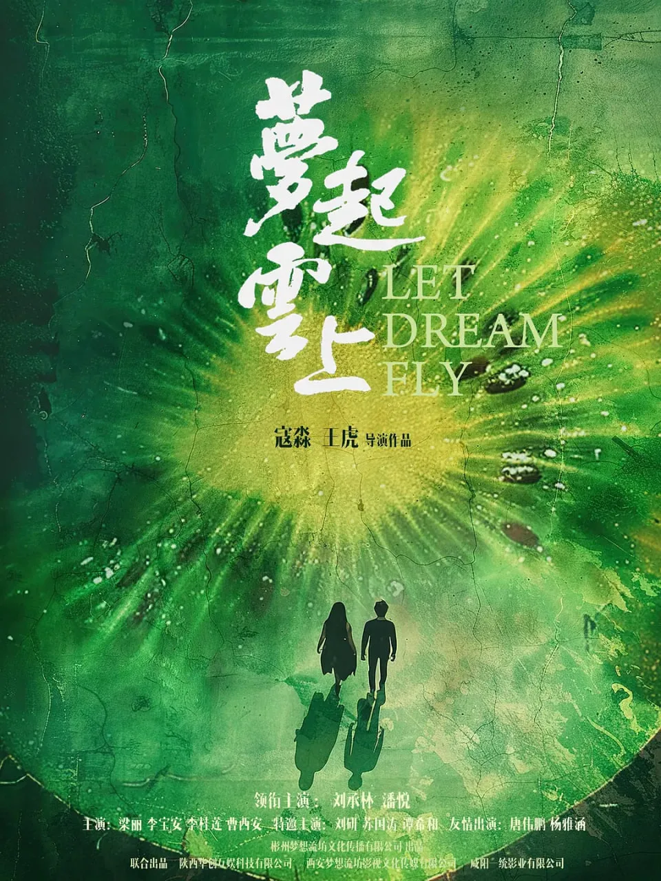 梦起云上海报