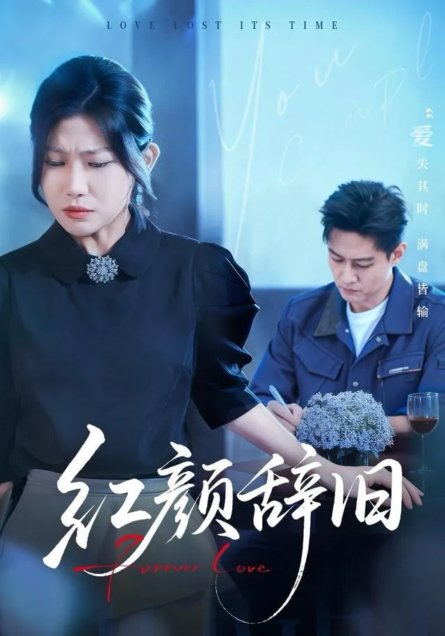 红颜辞旧海报