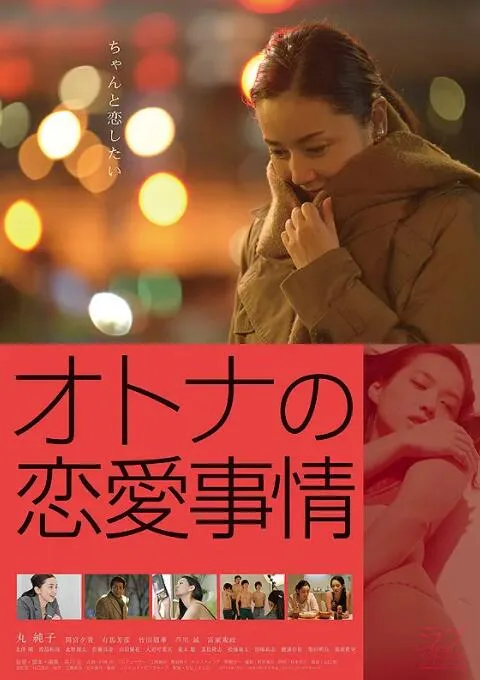 成年人的爱情故事海报