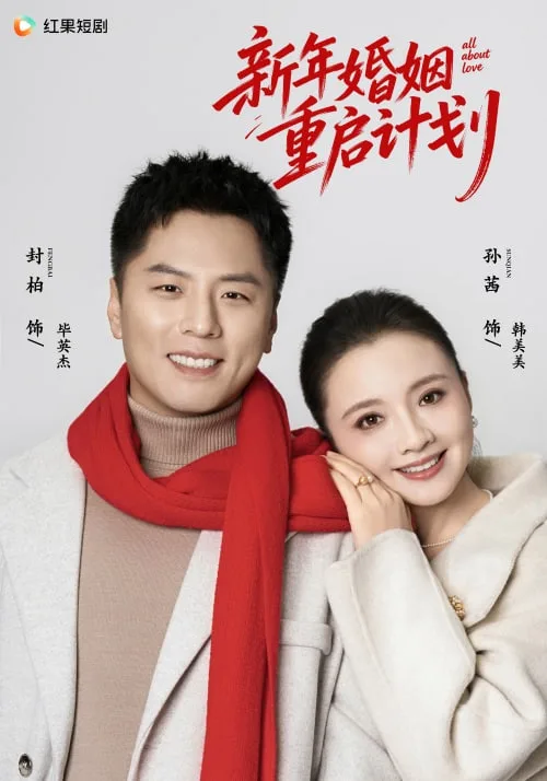 新年婚姻重启计划海报