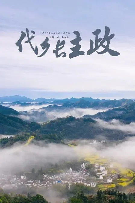 代乡长主政 2011海报