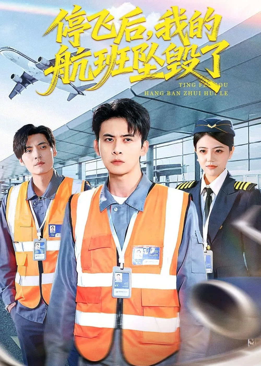 停飞后，我的航班坠毁了海报