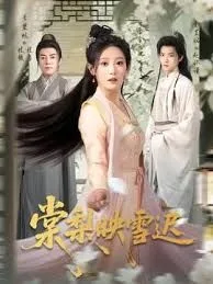 棠梨映雪迟海报
