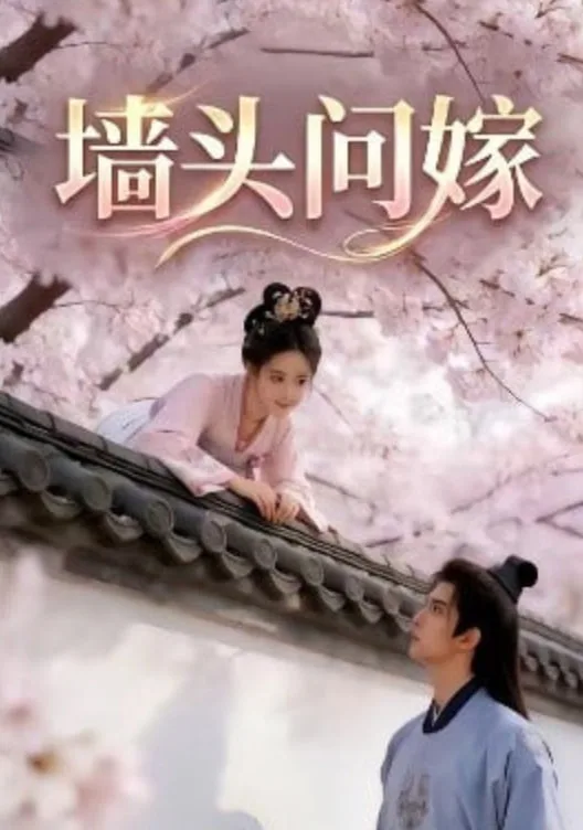 墙头问嫁海报