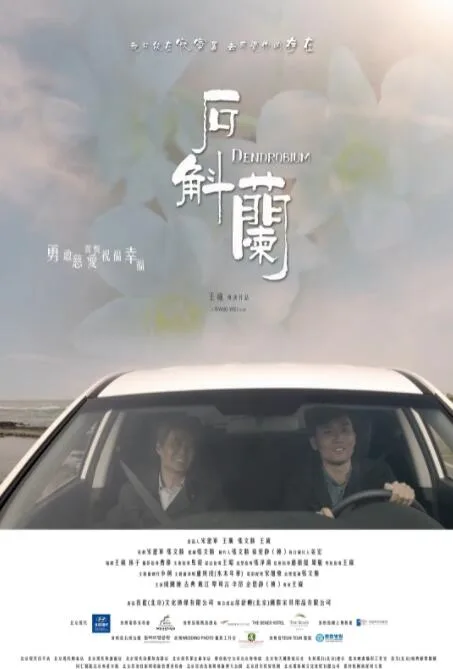 石斛兰海报