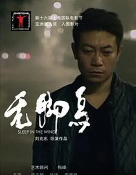 无脚鸟海报