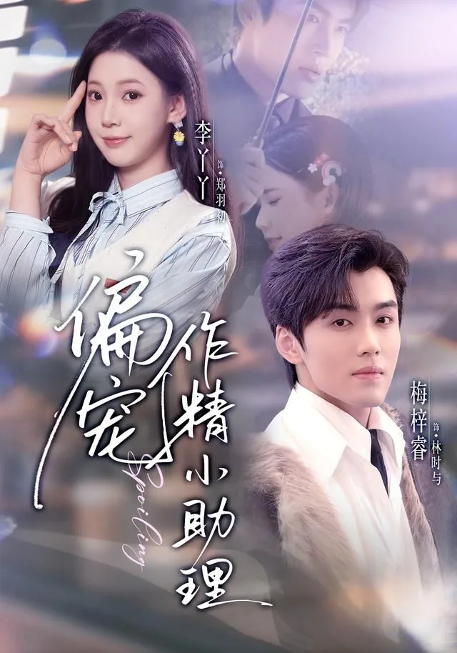 偏宠作精小助理海报